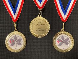 DataFest Best Visualization medallions