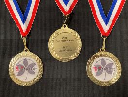 DataFest Best Visualization medallions